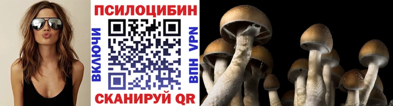 дарк нет состав  где купить наркоту  Починок  Галлюциногенные грибы Psilocybine cubensis  blacksprut ONION 