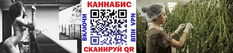 Канабис SATIVA & INDICA Починок